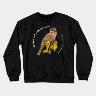 Rufous-collared sparrow bird pin white text Crewneck Sweatshirt